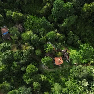 Holiday park Mahout Wayanad - An Experiential Jungle With Waterfall